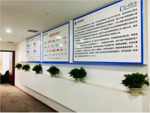 重慶千色企業(yè)管理咨詢 領(lǐng)先的手機(jī)網(wǎng)絡(luò)游戲全球分發(fā)商