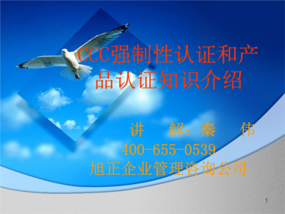XX企業(yè)管理咨詢公司-CCC強(qiáng)制性認(rèn)證和產(chǎn)品認(rèn)證知識(shí)介紹.ppt