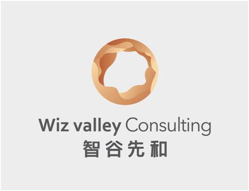 北京智谷先和企業管理咨詢