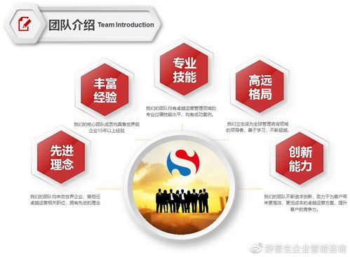 舒普生企業(yè)管理咨詢.舒普生精益六西格瑪?shù)缊? />
</span>
<span id=