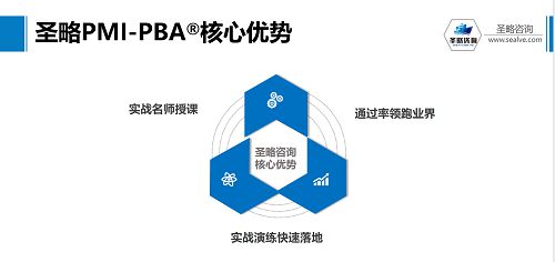 圣略咨詢 項(xiàng)目管理中一項(xiàng)至關(guān)重要的能力 商業(yè)分析