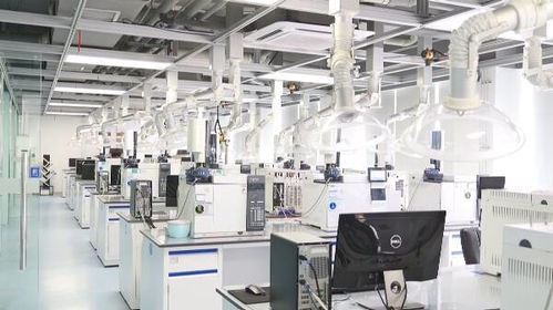 東營區 兩家企業入選基礎級智能工廠 實現 數字化車間 向 智能工廠 轉變